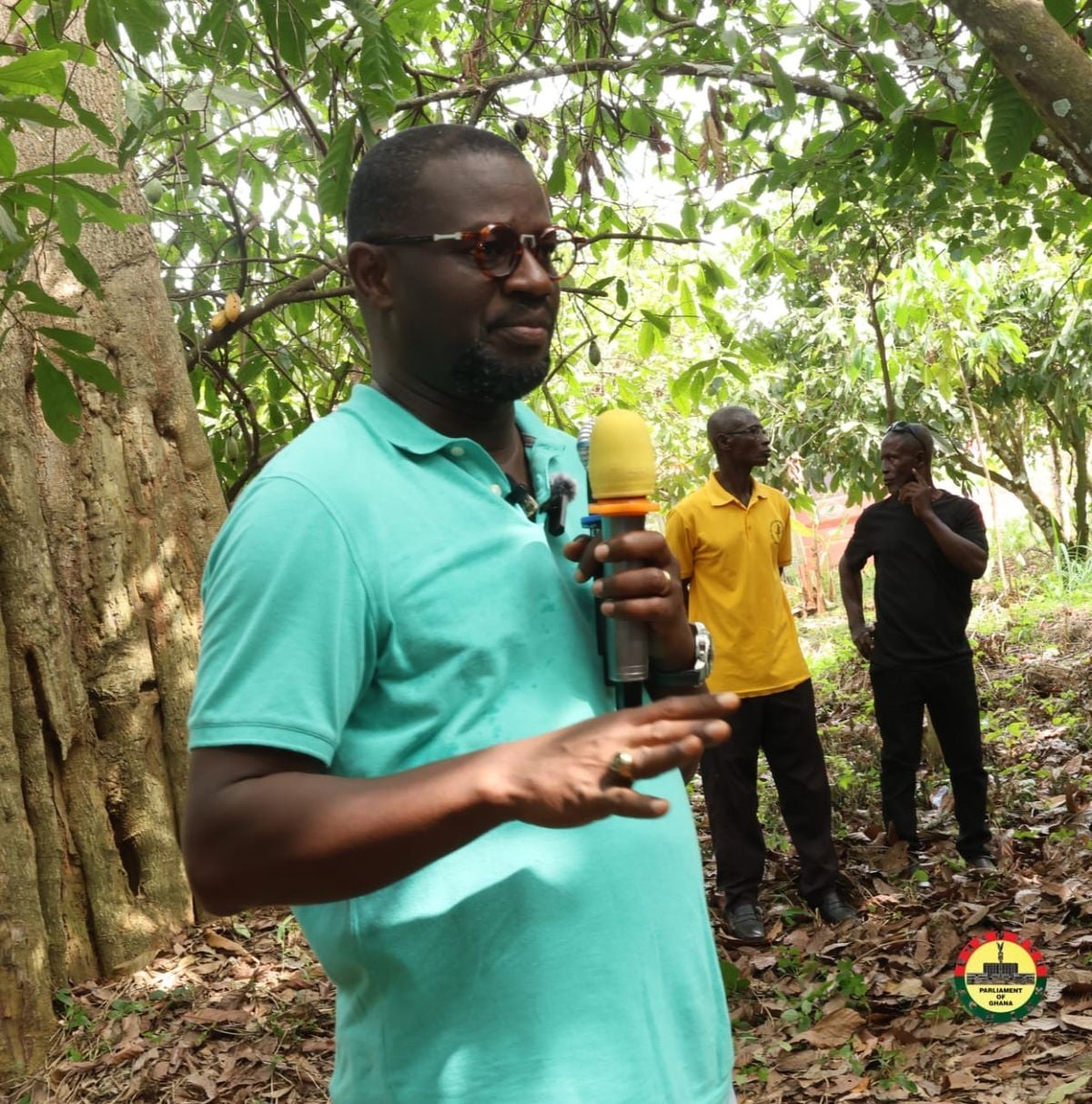 Annoh-Dompreh urges govt to prioritise cocoa sector, restore prices and support struggling farmers