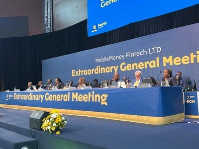 MobileMoney Fintech 