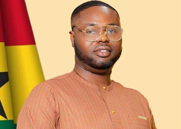 Council of state member 