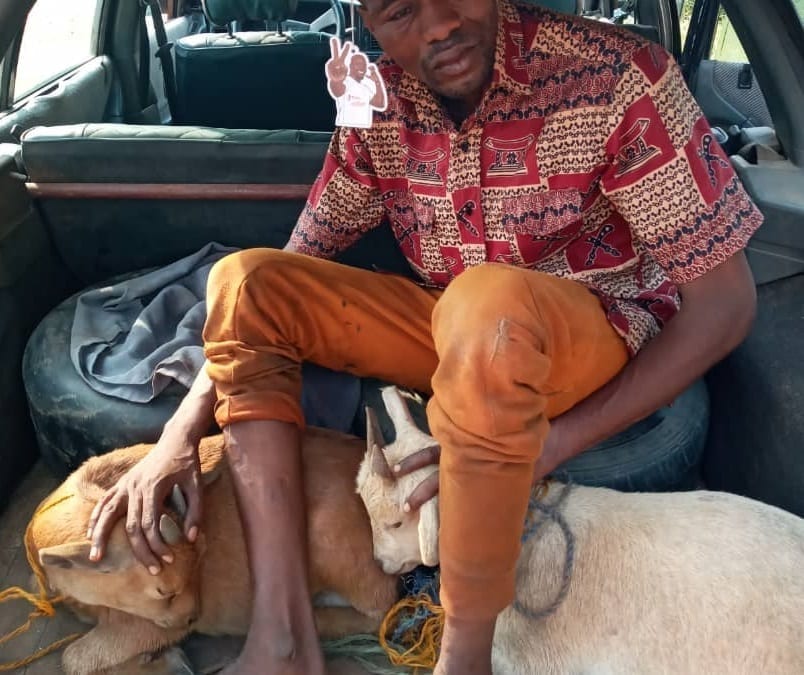 E/R : Man in the grip of police for stealing 2 goats