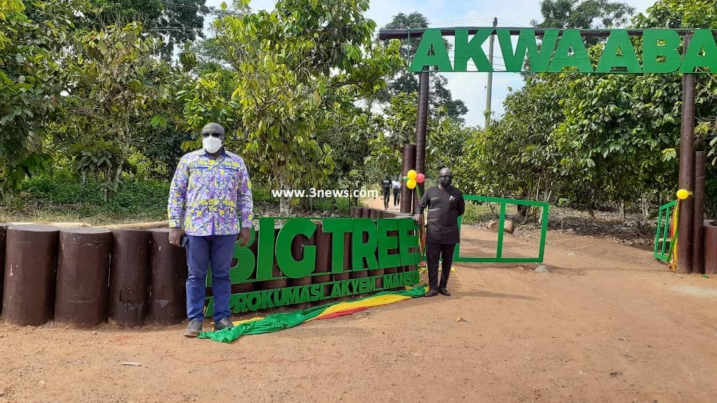 Big Tree tourist site