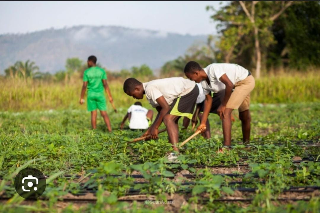 WhatsApp Image 2025-02-17 at 17.01.35