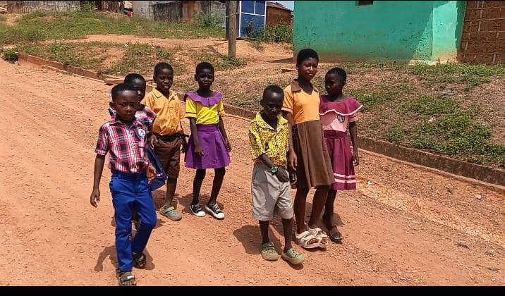 WhatsApp Image 2025-03-14 at 08.13.52