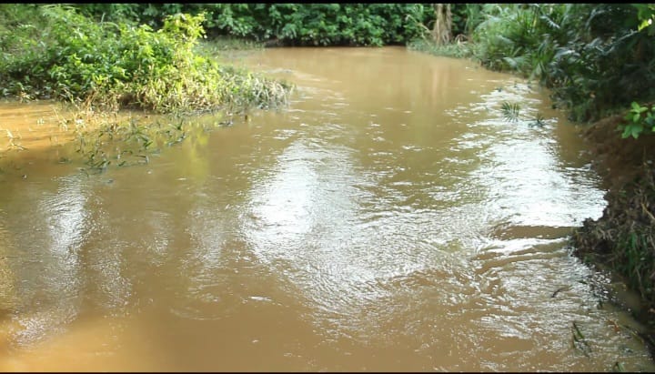 WhatsApp Image 2025-08-01 at 10.34.26