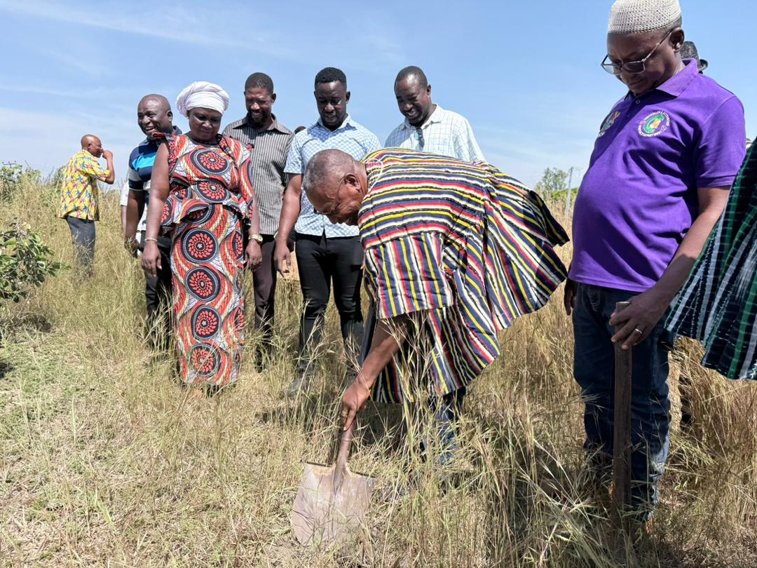 WhatsApp Image 2025-11-13 at 14.58.11