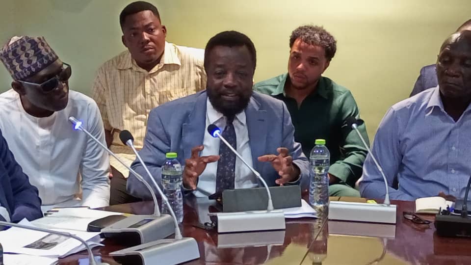 Ghana must lead its lithium future — Dr John Kpikpi speaks at parliamentary hearing